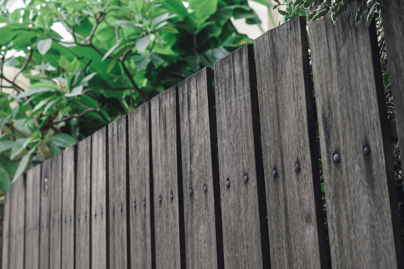 Fence replacement in Merced, CA